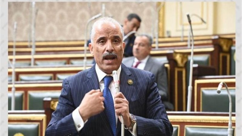 النائب عيد حماد،