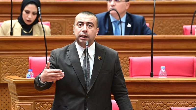 النائب أحمد بهاء
