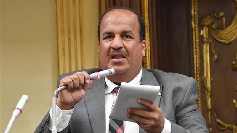  الدكتور محمد عبد