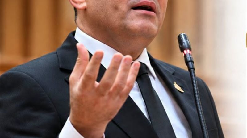 النائب أمير أحمد