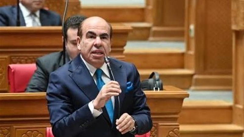 النائب ياسر الهضيبي عضو مجلس النواب 