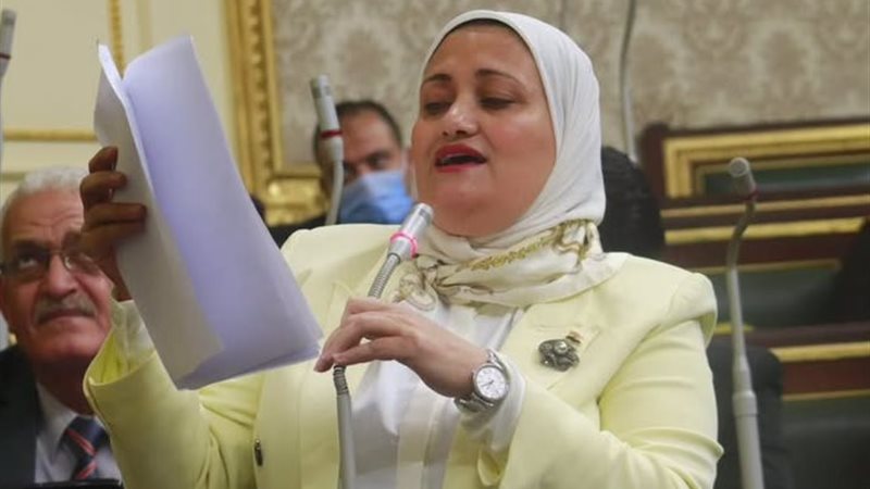 النائبة سناء السعيد،