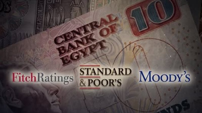 النائب  تامر عبد الحميد