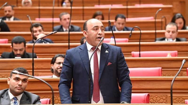 النائب حسام حسن،