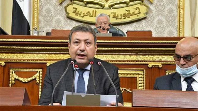 النائب طارق شكري،