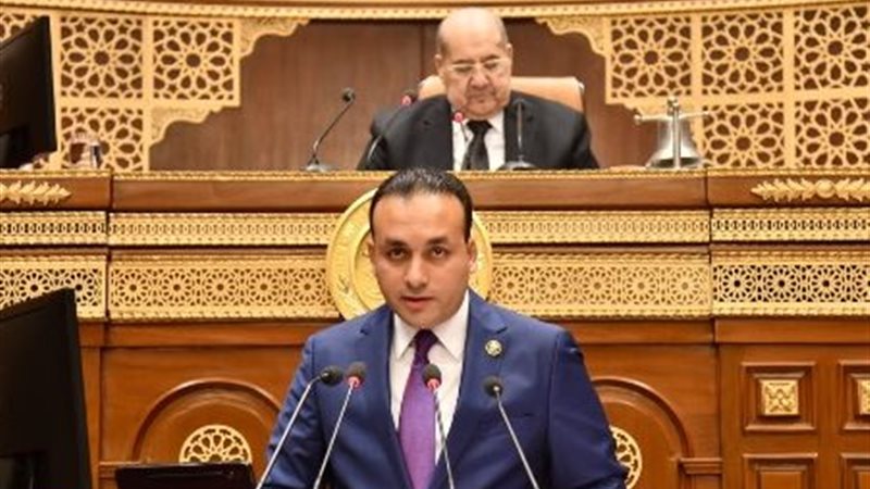 النائب عمرو السعيد فهمي 