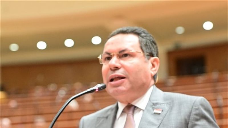 النائب هشام الحصري،
