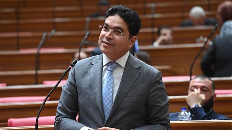 النائب ضياء الدين