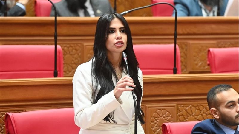 النائبة هايدي المغازي 