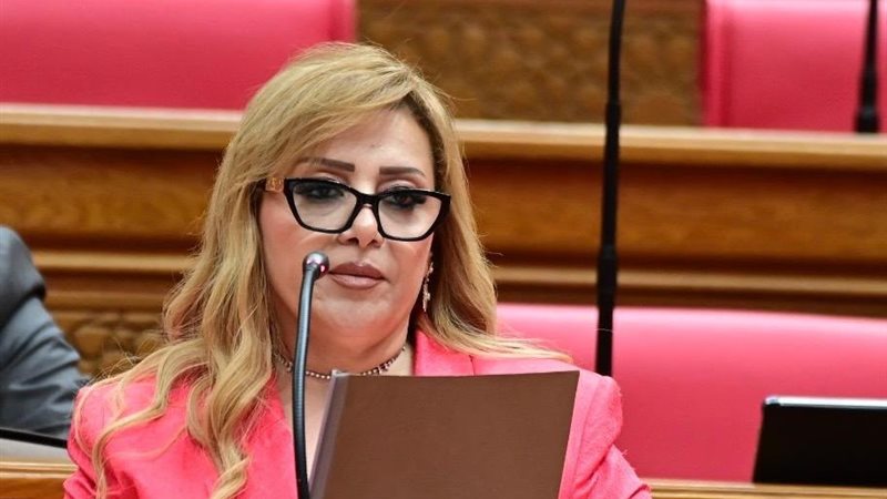النائبة هبة غالي،