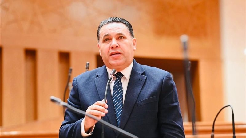 النائب عماد الغنيمي،