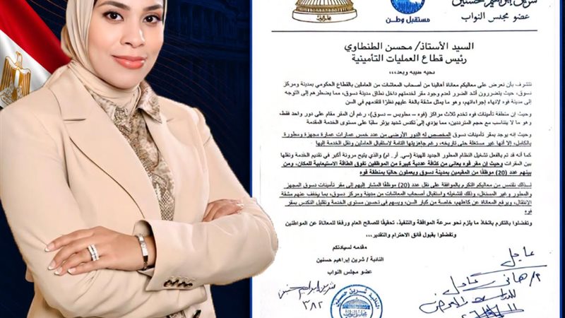 النائبة شرين حسنين،