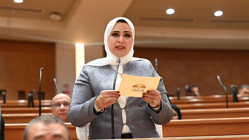  النائبة الدكتورة