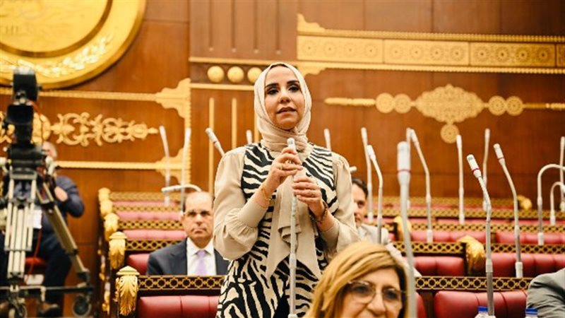 النائبة ولاء هرماس،
