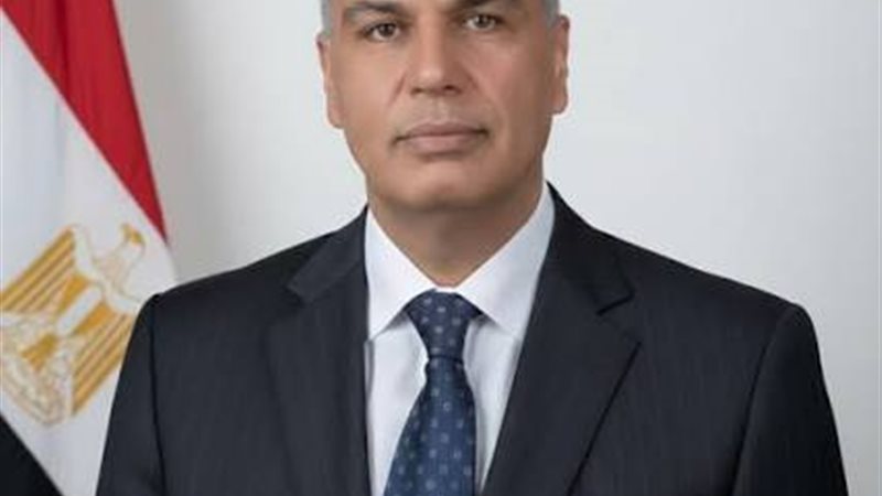النائب ماجد ربيع عطوه سالم، عضو مجلس النواب