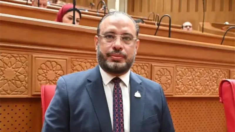 النائب أحمد السبكي، عضو مجلس النواب
