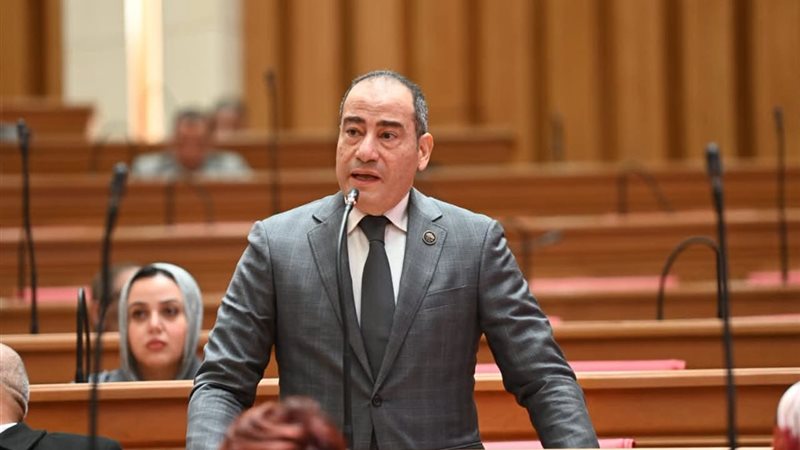 النائب مجاهد نصار،