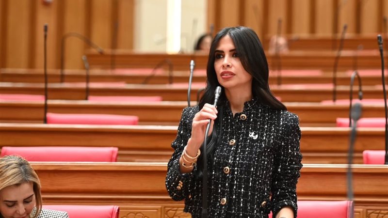 النائبة هايدي المغازي،