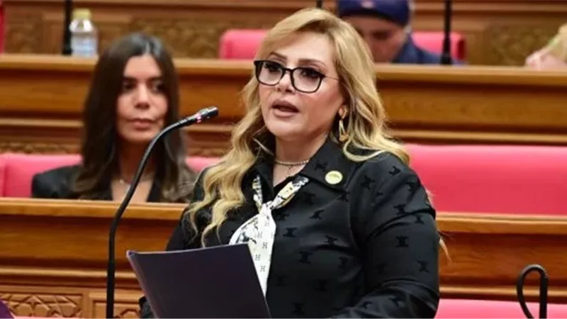 النائبة هبة غالي،