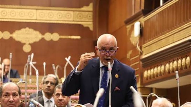 النائب ياسر الهضيبي