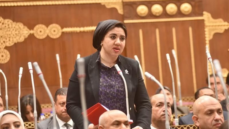 النائبة أميرة صابر
