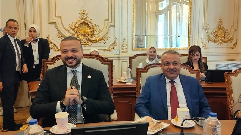 النائب محمد الجارحي