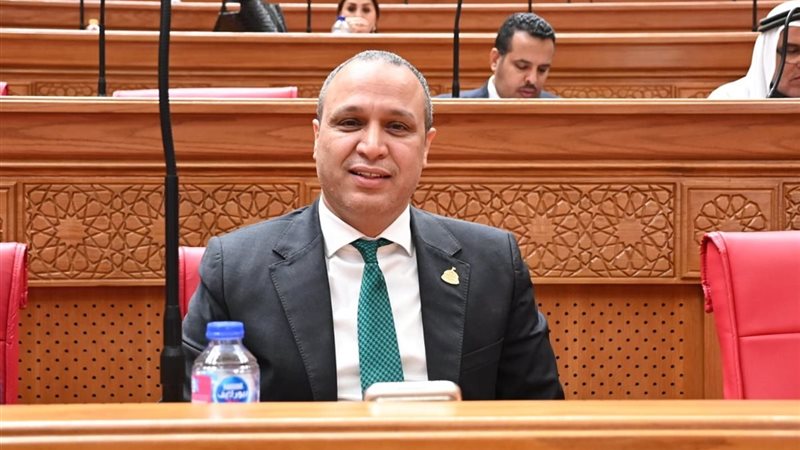 النائب محمد طلبة
